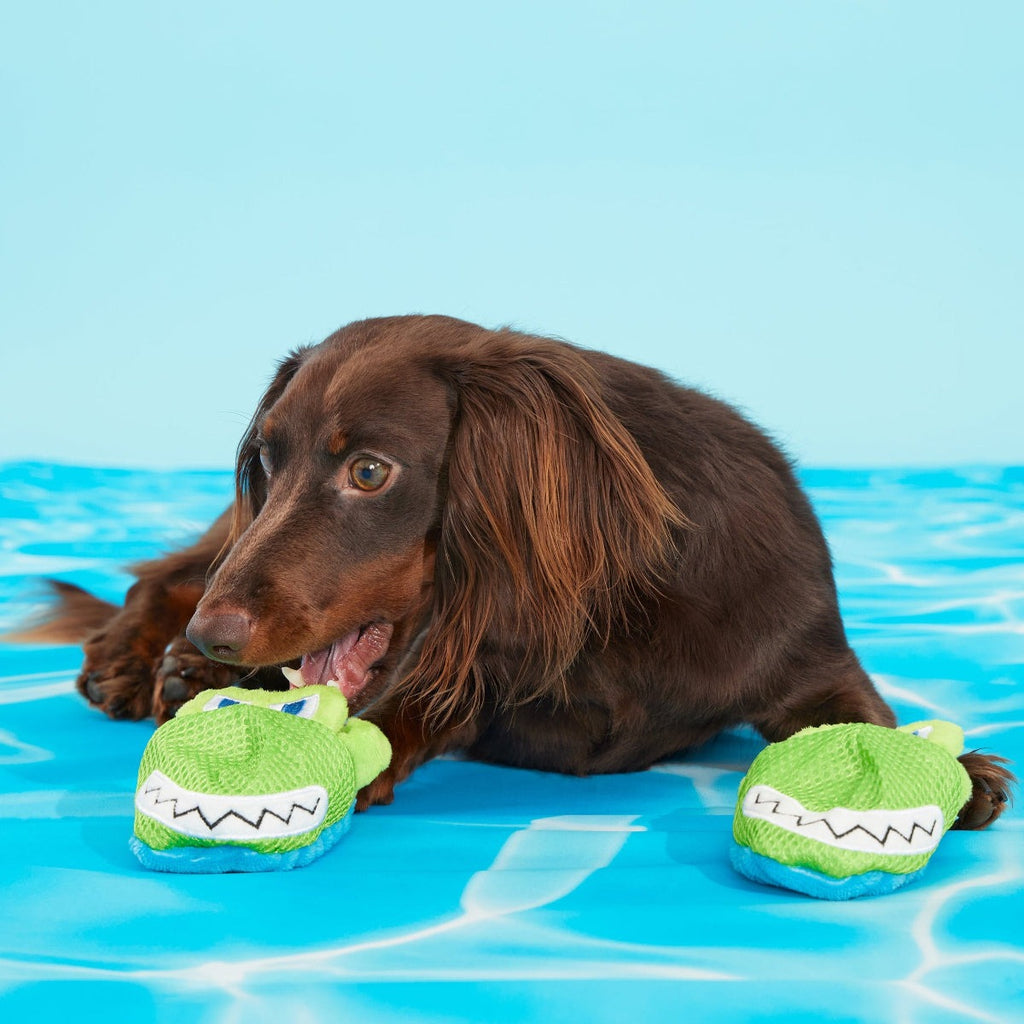 Crocks Plush Multi-Part + Enrichment Dog Toy