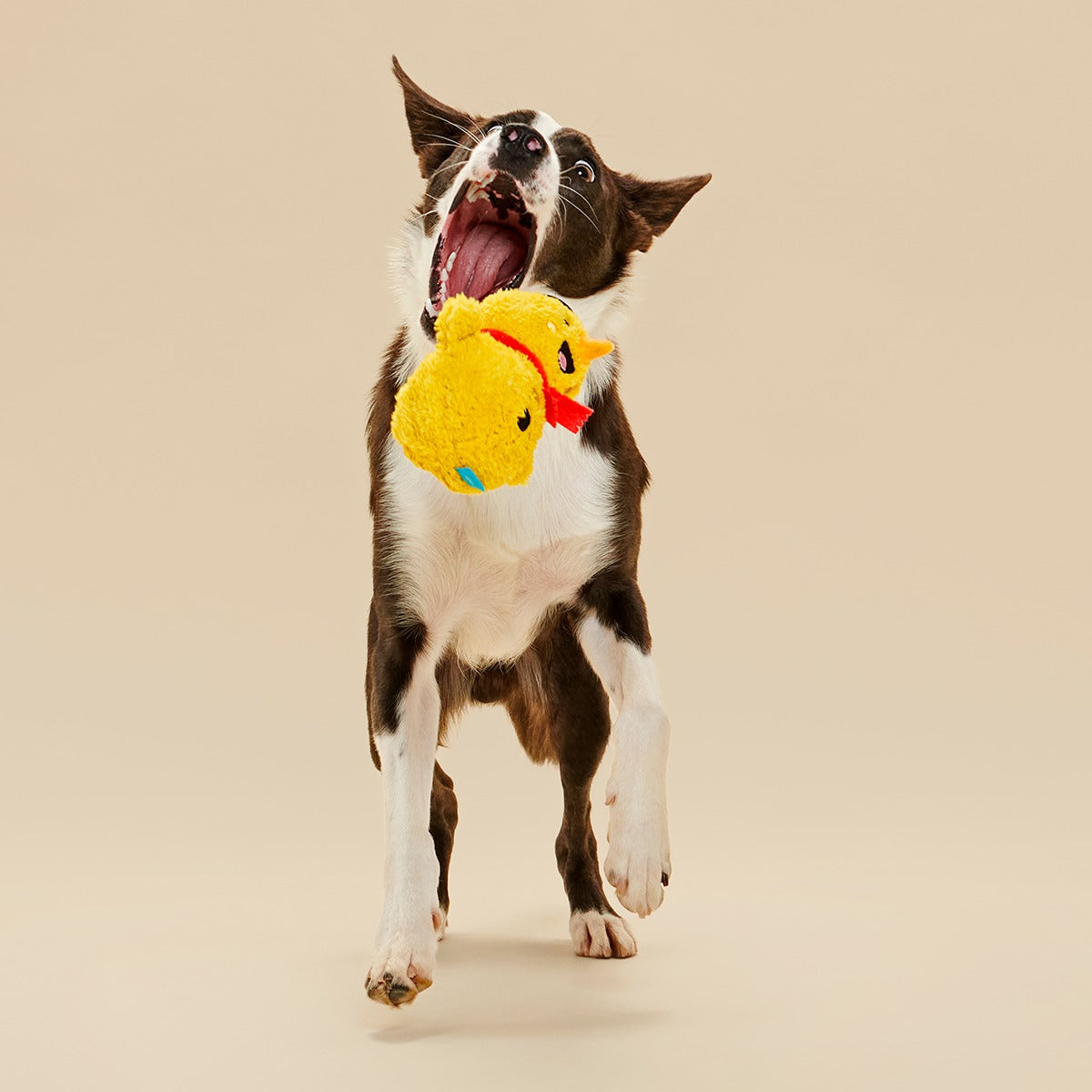 Mark the Yellow Snowman Plush Dog Toy