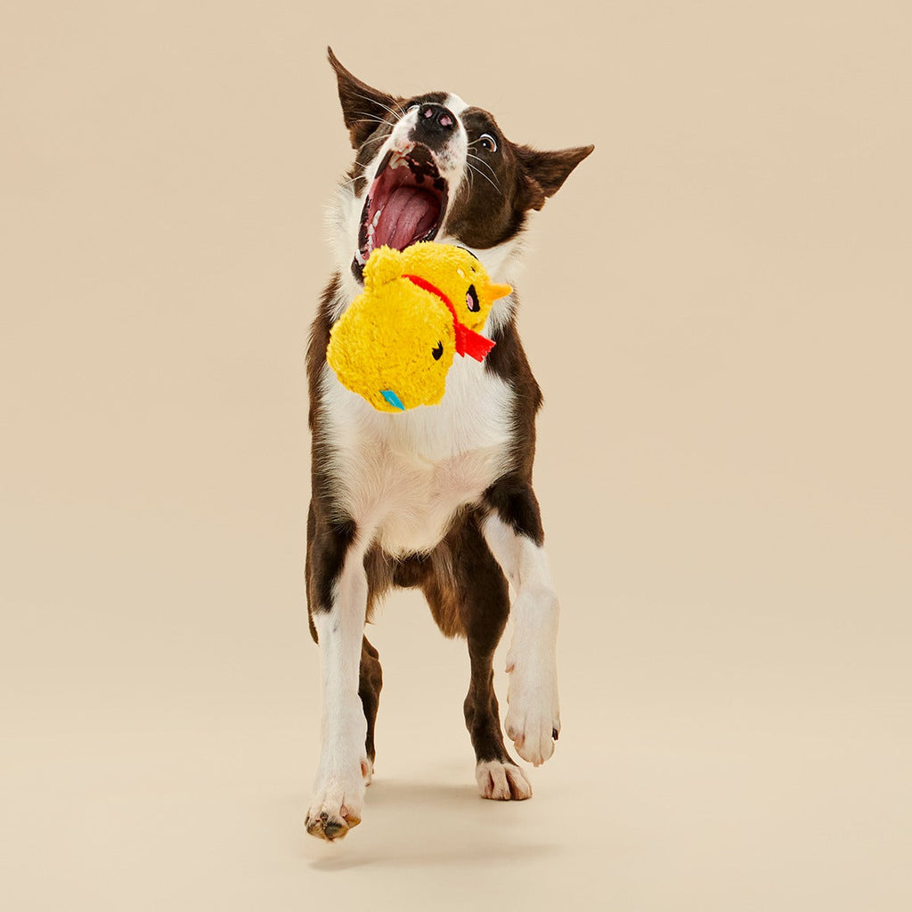 Mark the Yellow Snowman Plush Dog Toy