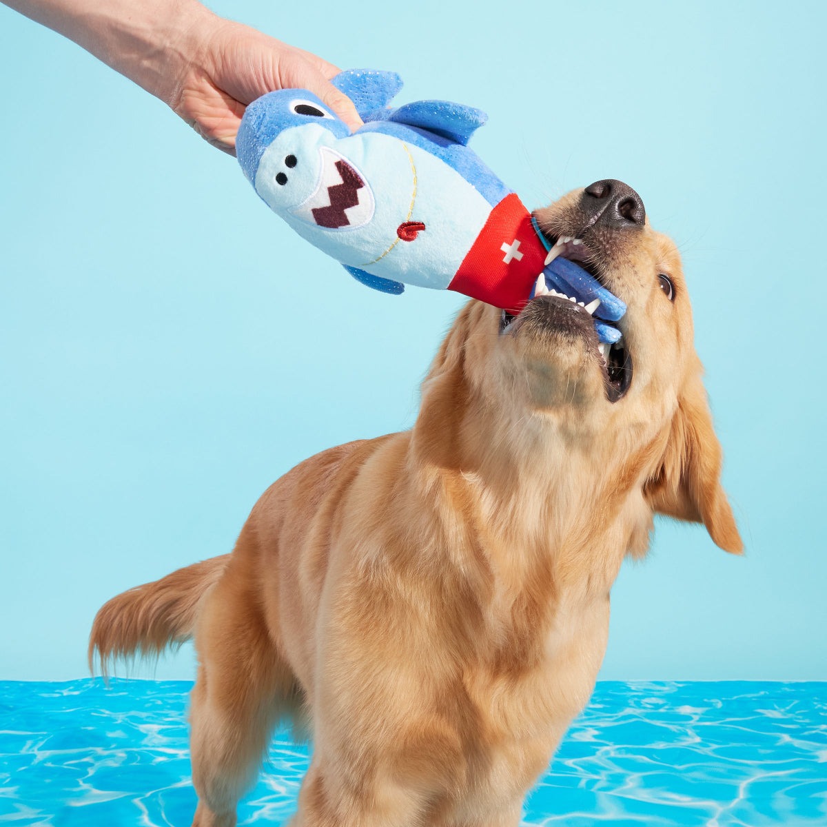 Pool Shark Shane Plush Tug Dog Toy