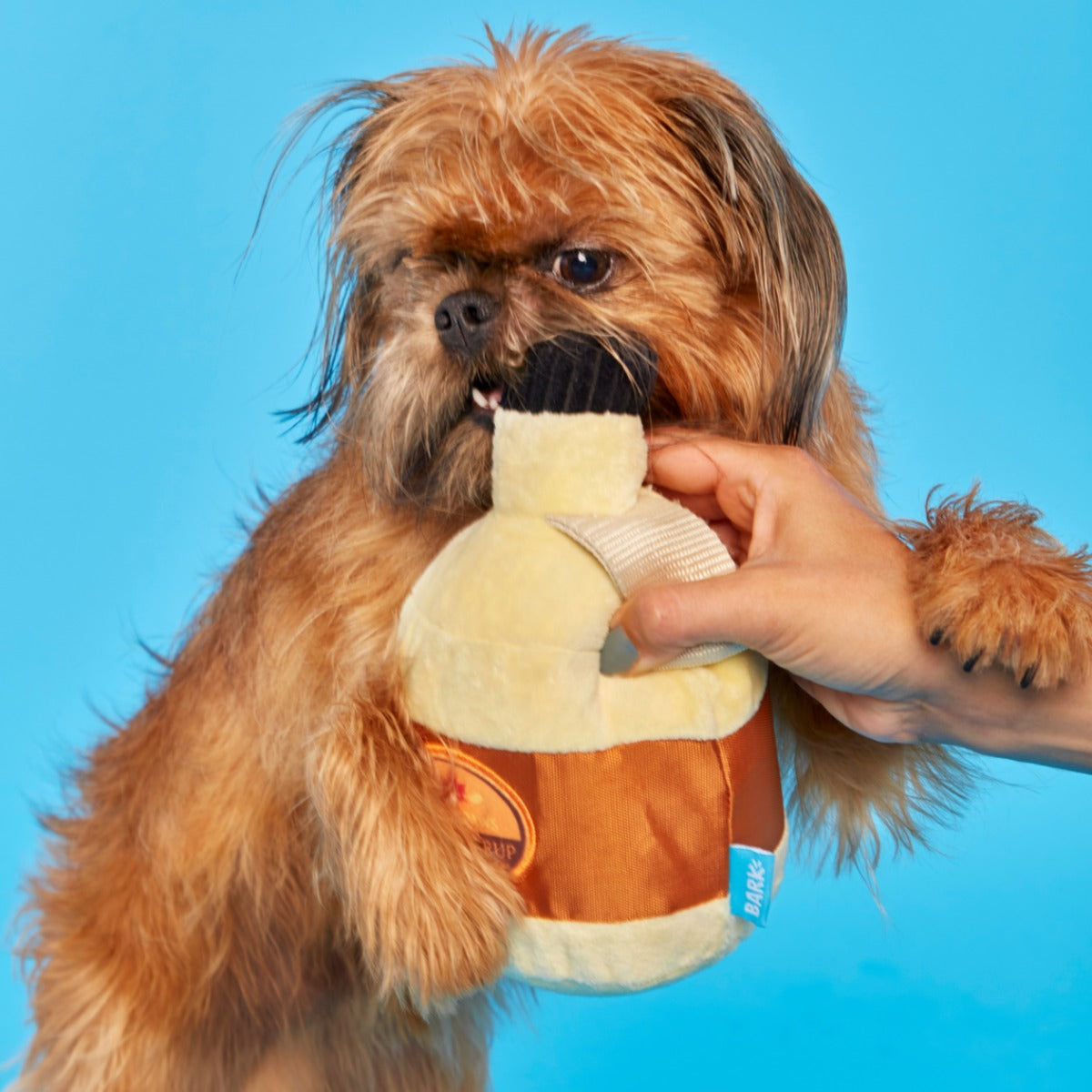Sticky Paws Maple Syrup Plush 2-in-1 + Tug Dog Toy
