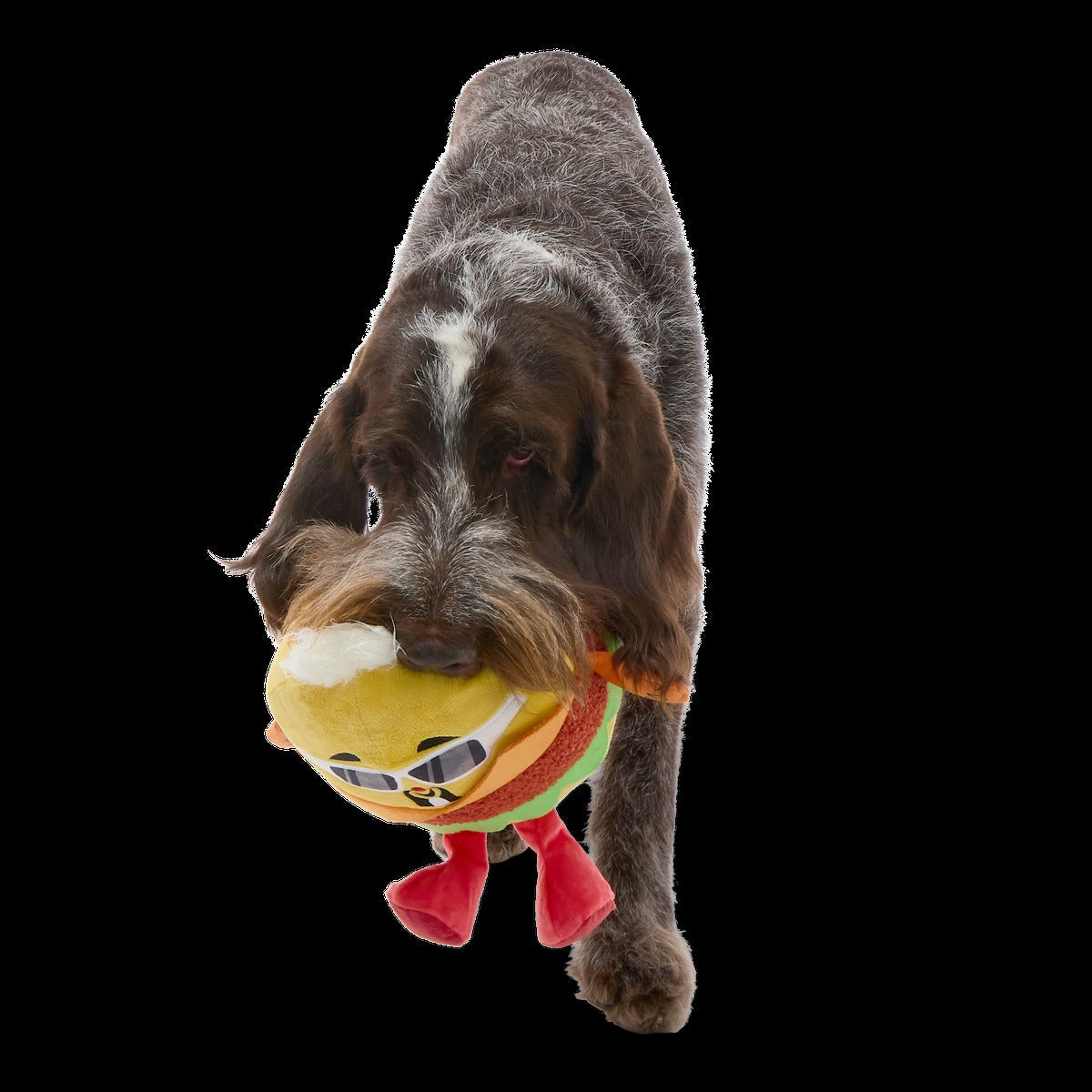Flame-Grilled Fieri Plush Extra-Large + Tug Dog Toy