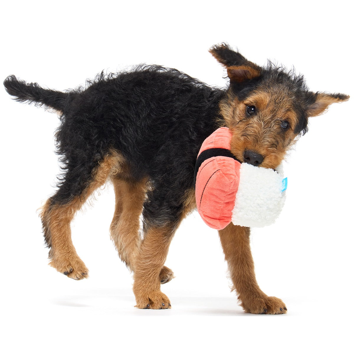 Super Tasty Tuna Sushi Plush Dog Toy