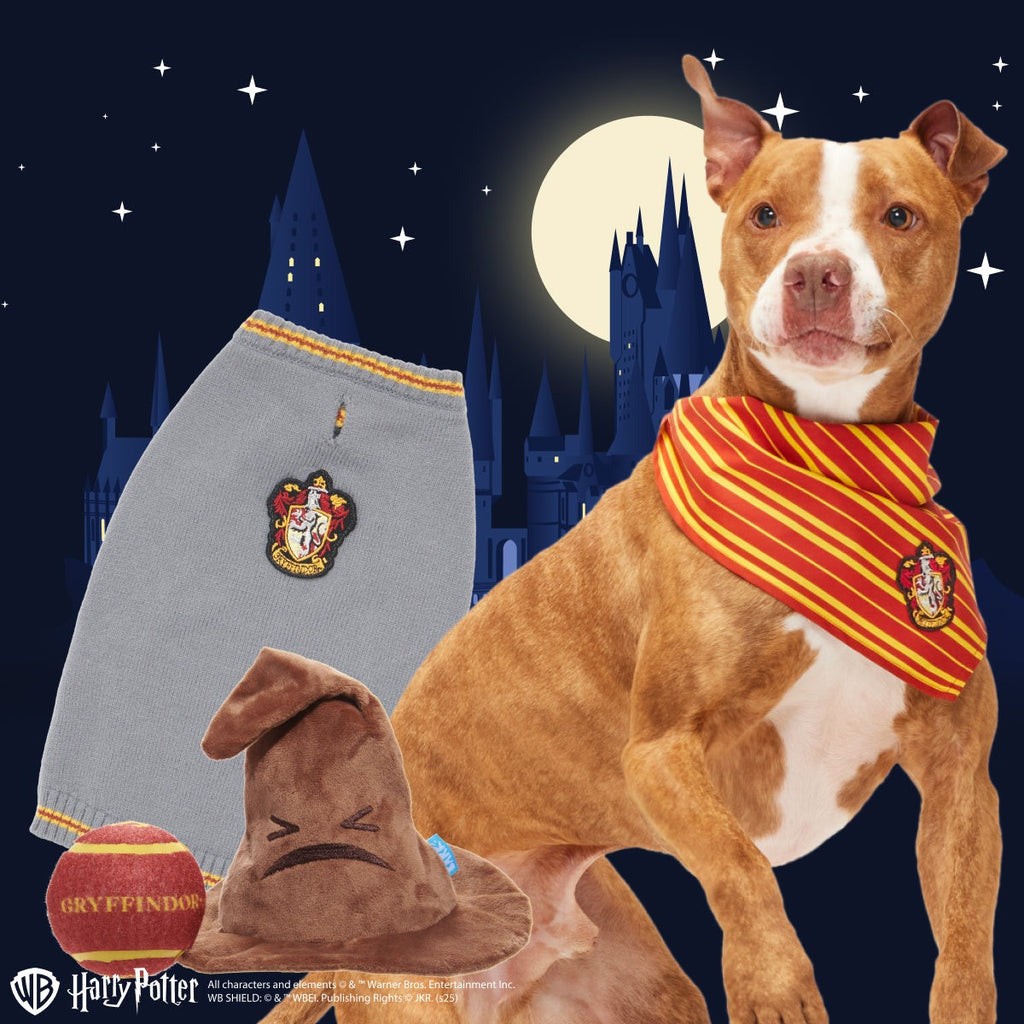 GryffindorTM Bundle
