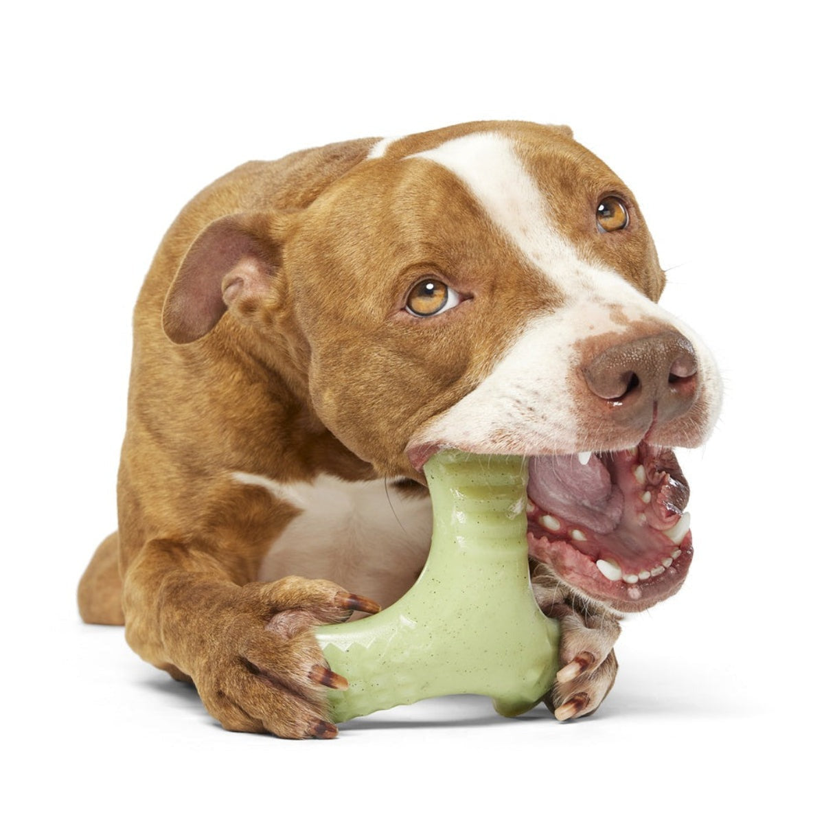Chopper Super Chewer Durable Gnaw Dog Toy