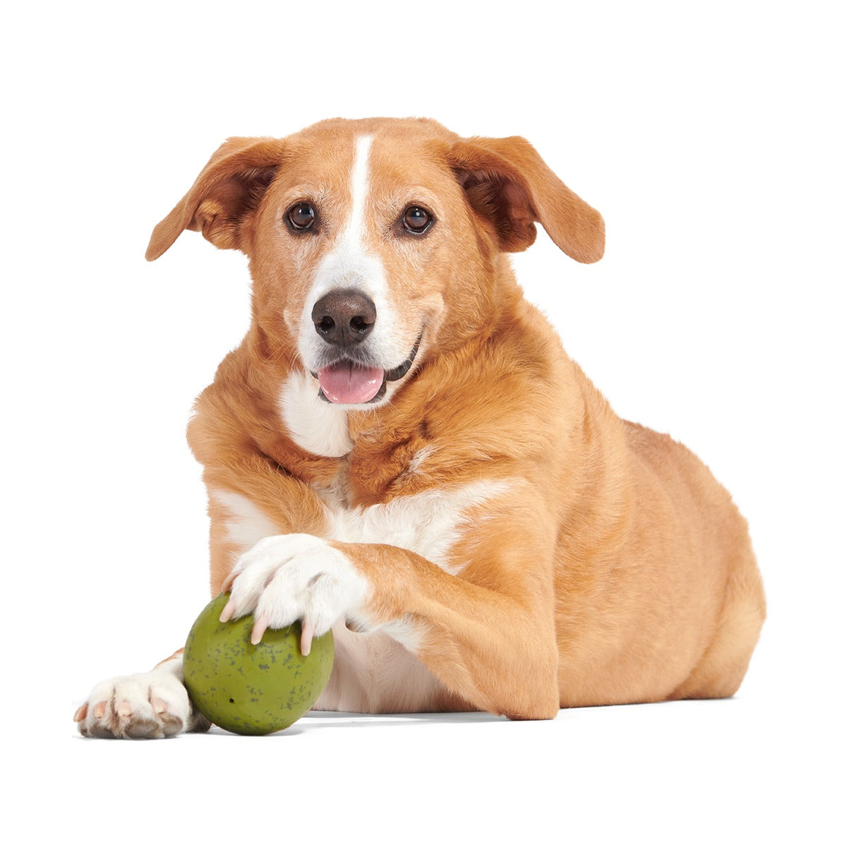 Stuffed Olive Super Chewer Durable Enrichment Dog Toy