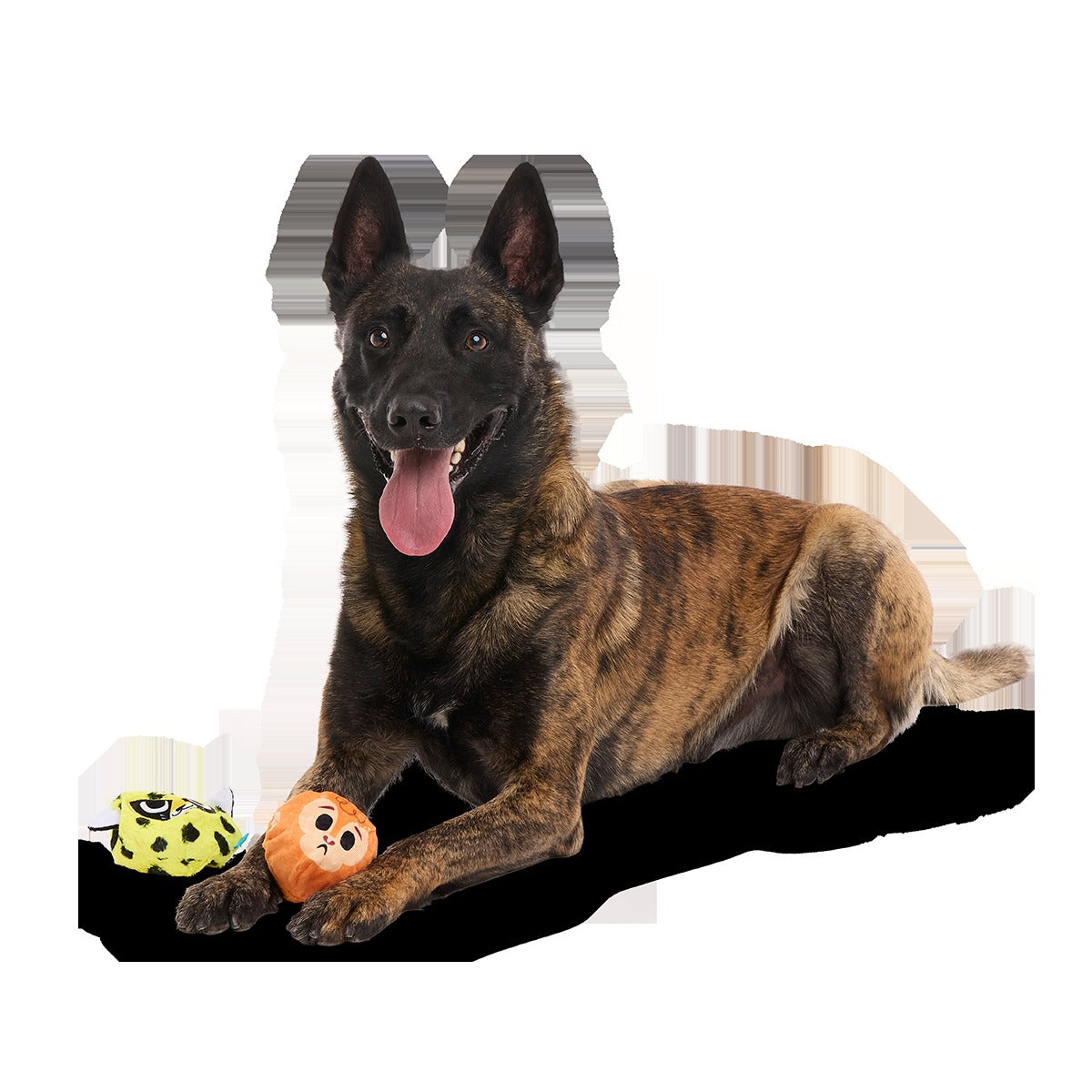 Duma Njaa Plush 3-in-1 + Fetch Dog Toy