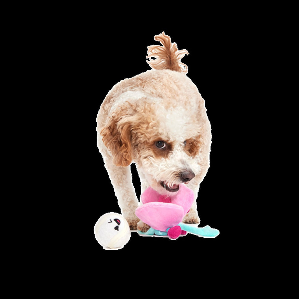 Clamantha Plush Multi-Part + Fetch + Enrichment Dog Toy