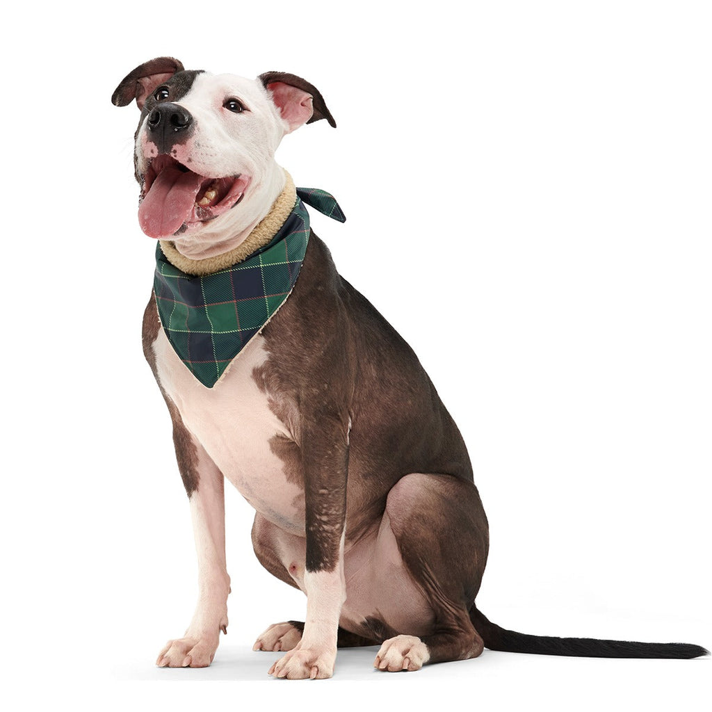Plaid To The Bone Dog Bandana