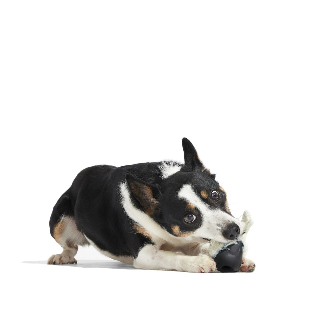 Seal Meal Super Chewer Durable 2-in-1 + Enrichment Dog Toy