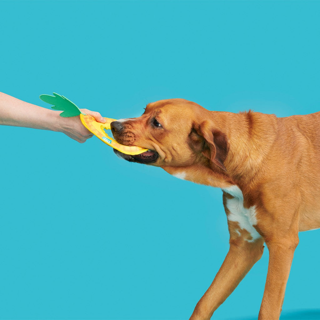 Pineapple Fling Plush Tug + Fetch Dog Toy