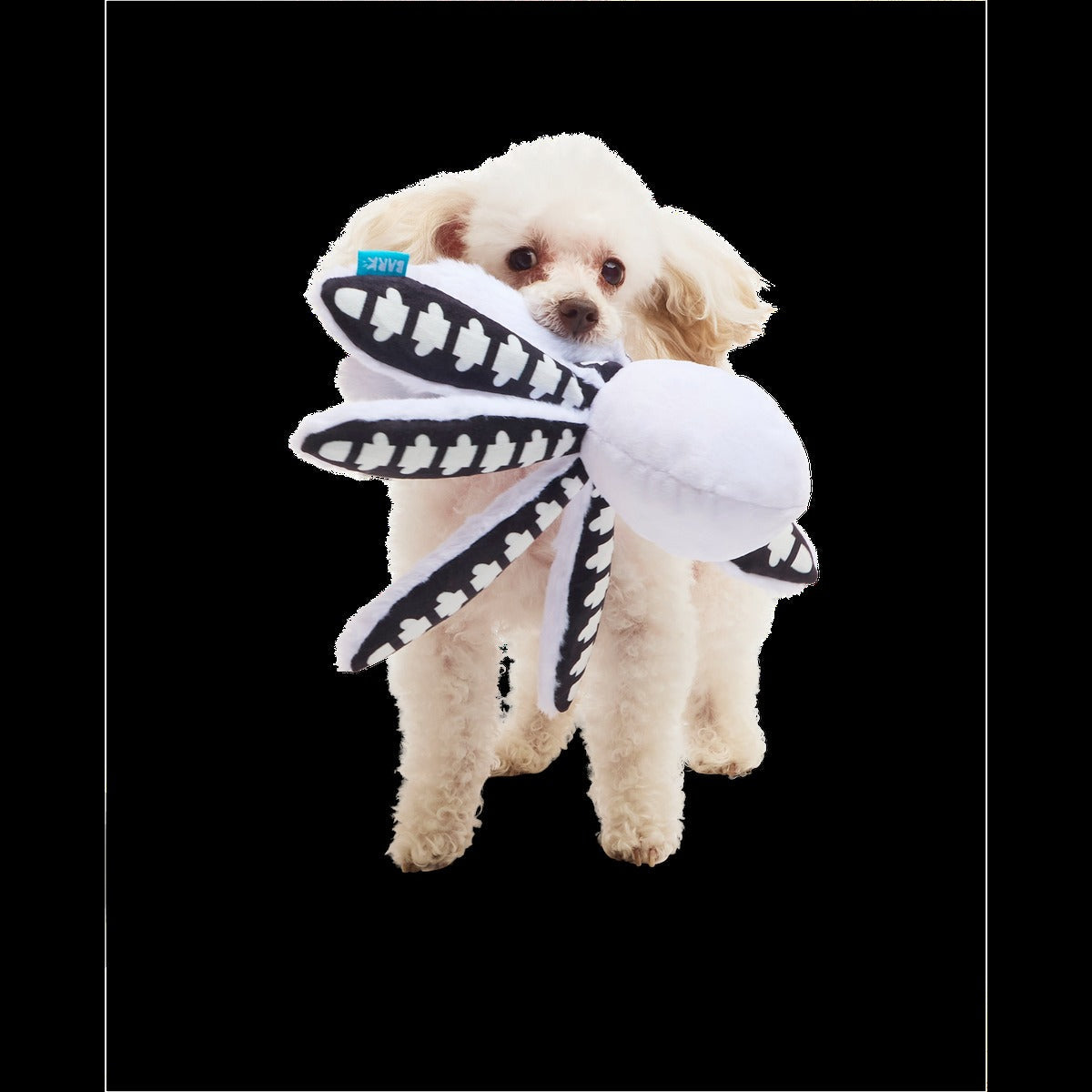 Sk-Ollie-Ton Plush Tug Dog Toy
