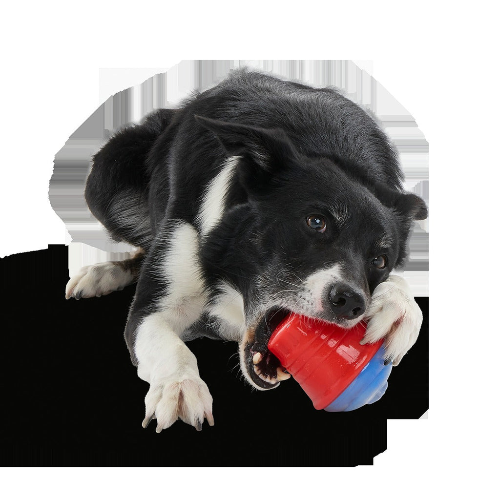 Blue Ruffberry Puppy Slushie Super Chewer Durable Engagement Dog Toy