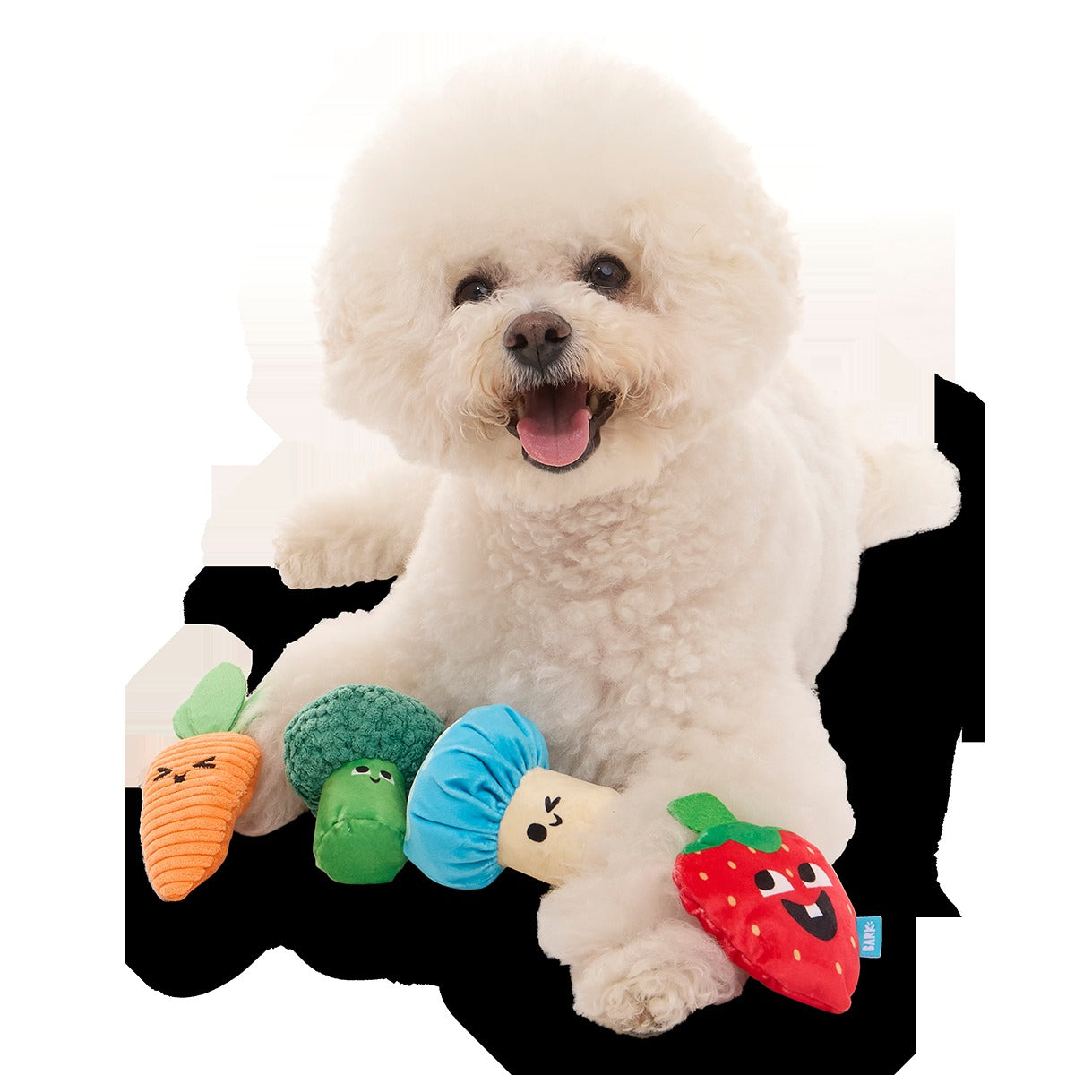 Veggie Patch Pals Plush Multi-Part Dog Toy