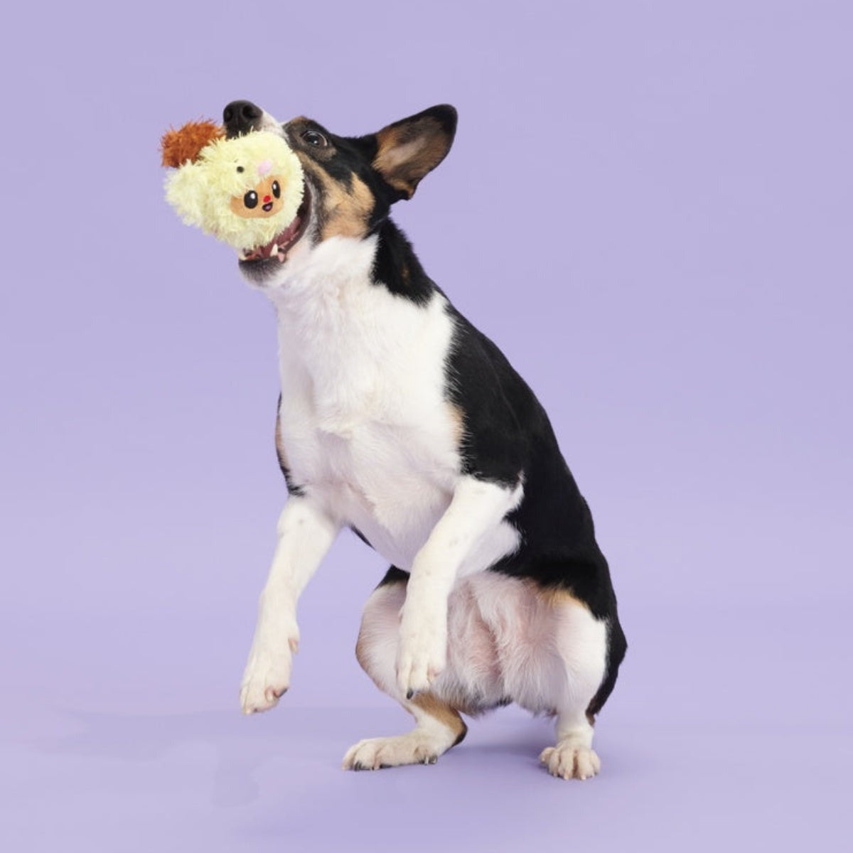 Trixie the Tricky Chicky Plush Fetch Dog Toy