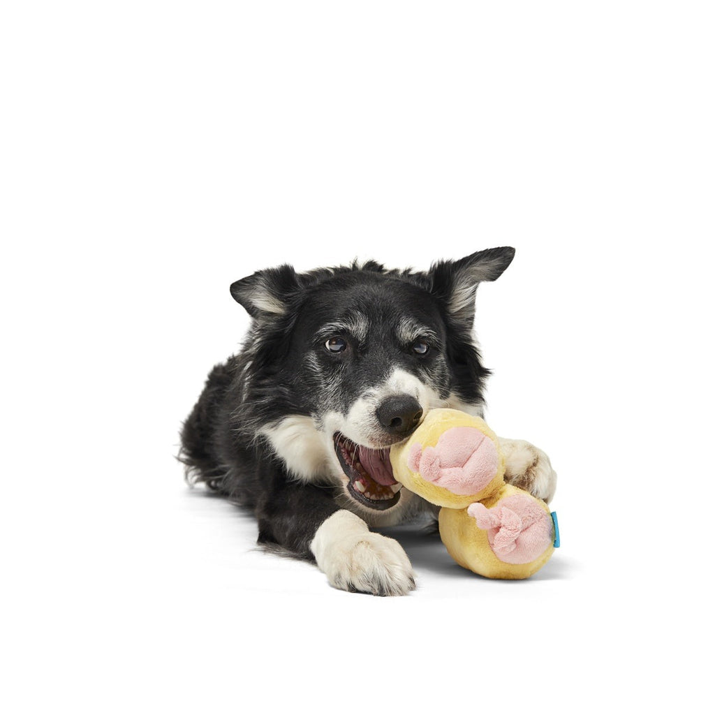Pigs in a Blanket Plush Tug Dog Toy