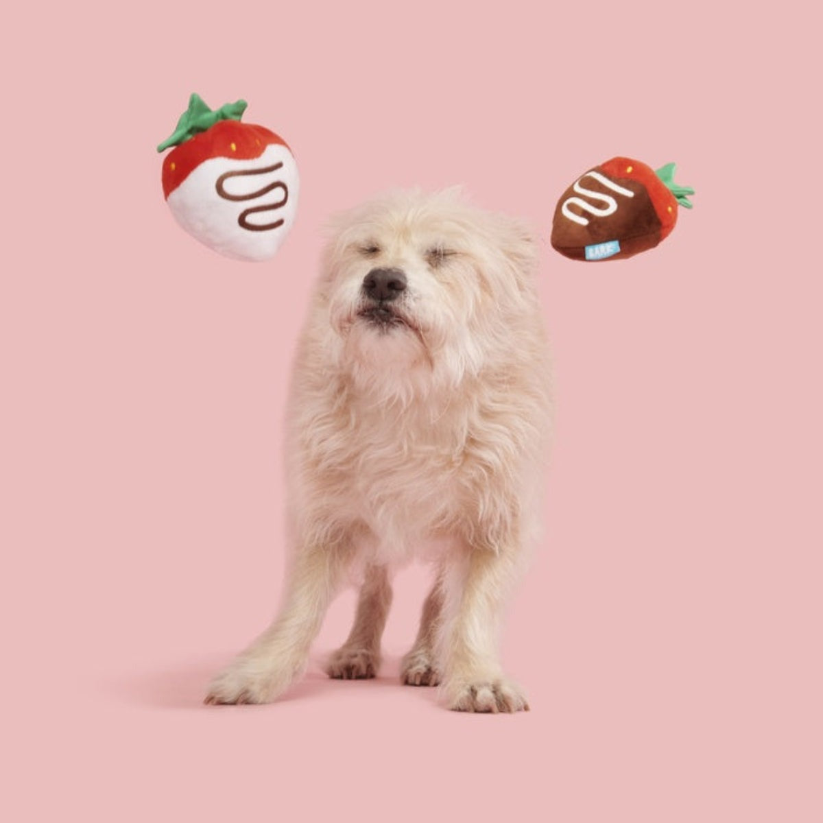 Chocolick Strawberries Plush Multi-Part Dog Toy