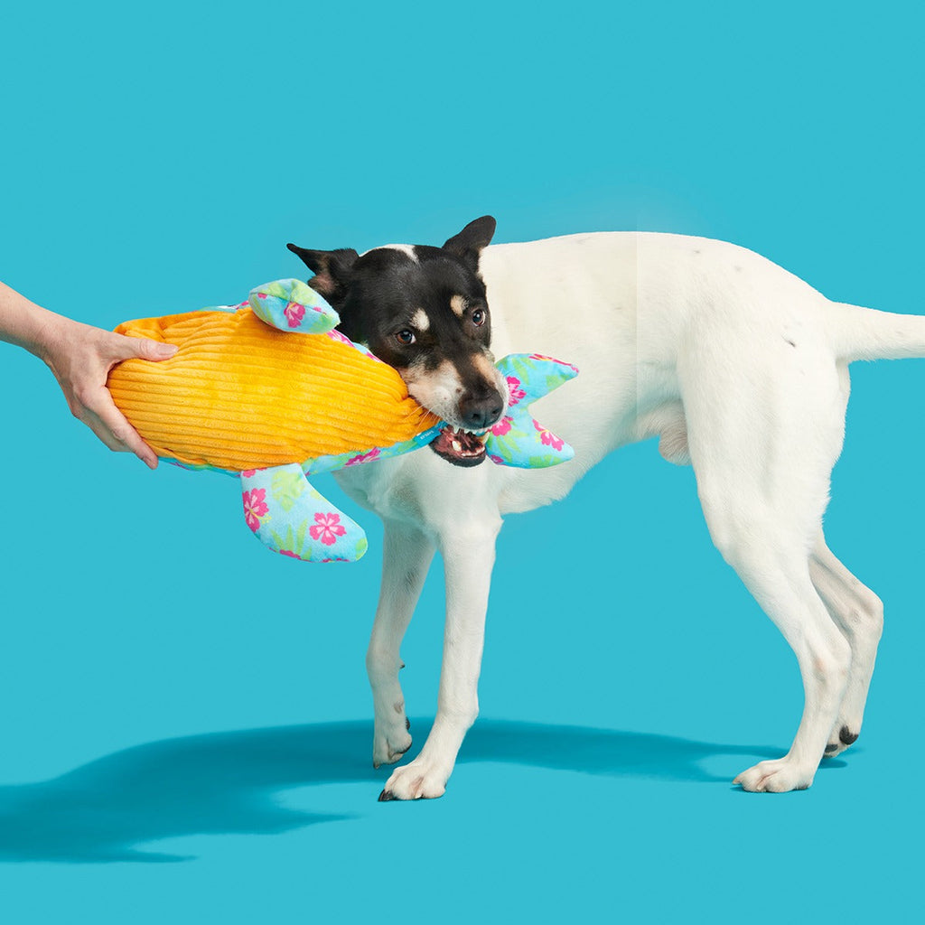 Hawaiian Humpbark Whale Plush Tug + Extra-Large Dog Toy