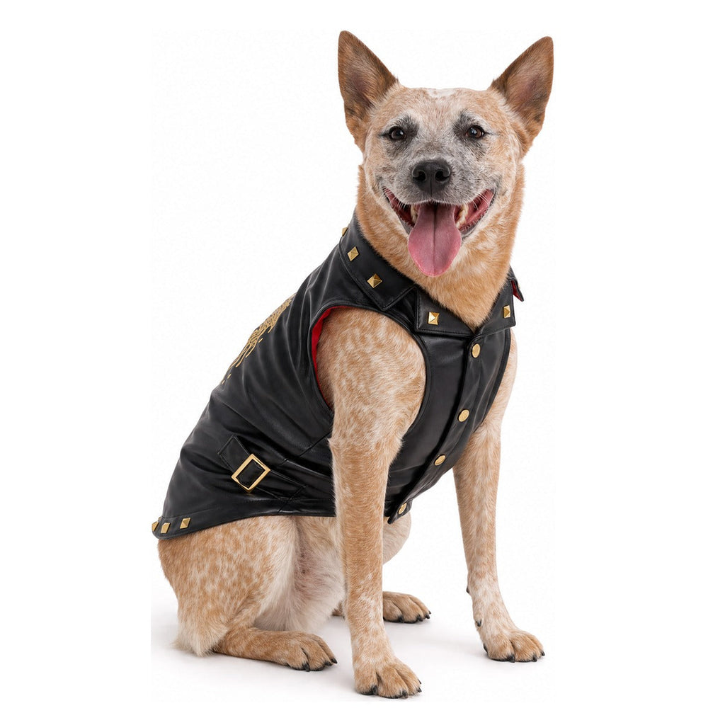Vest in Peace Dog Vest