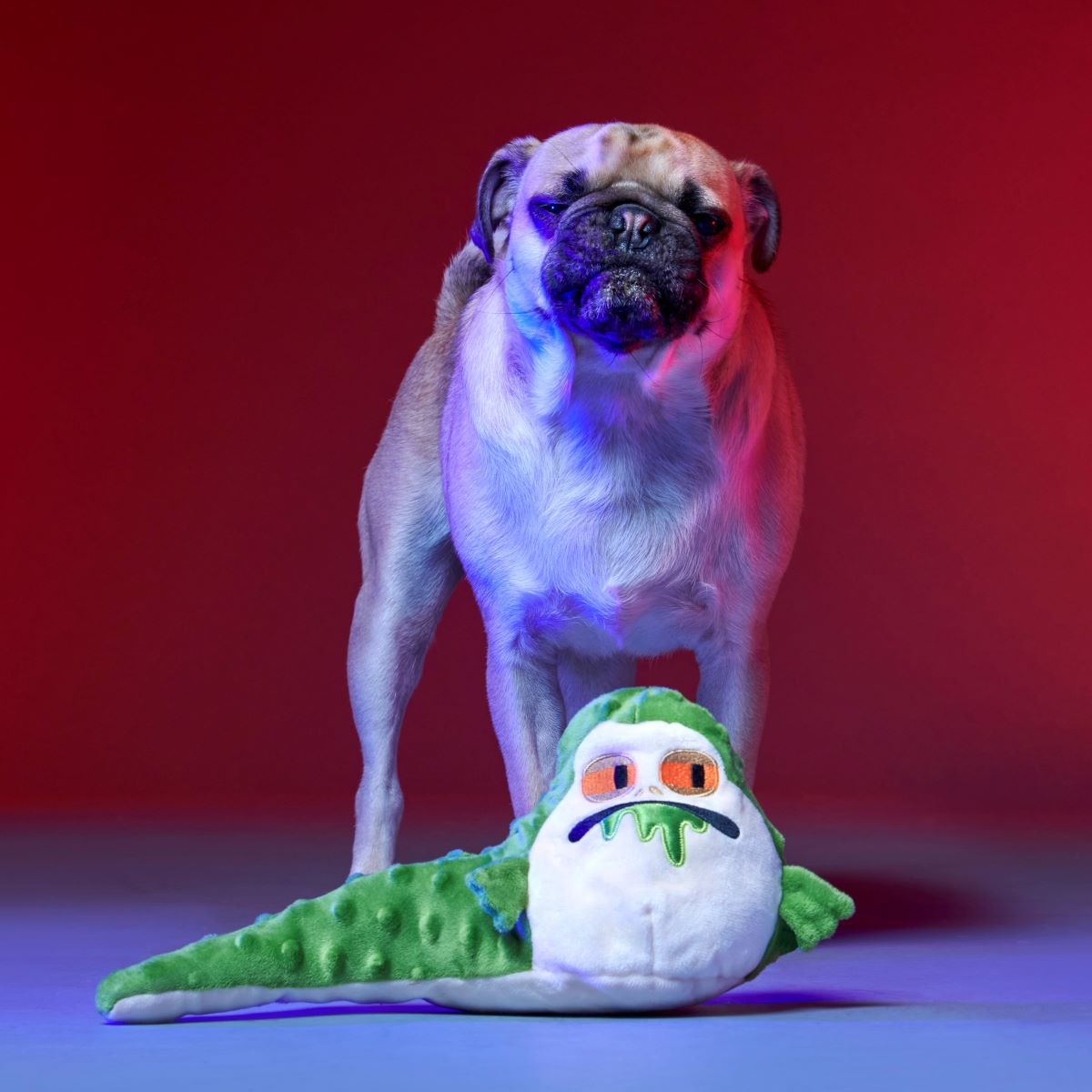 No Barkin', Young JediTM Plush Tug Dog Toy