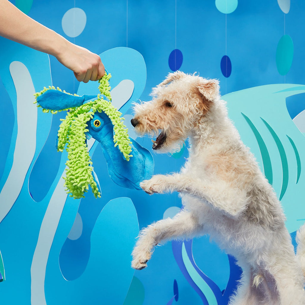Shifty Sid the Squid Plush Extra-Large + Tug Dog Toy