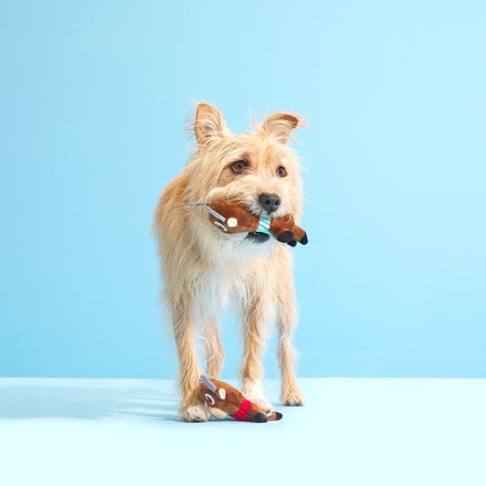 Ruby & Scarlet Multipart Plush Multi-Part Dog Toy