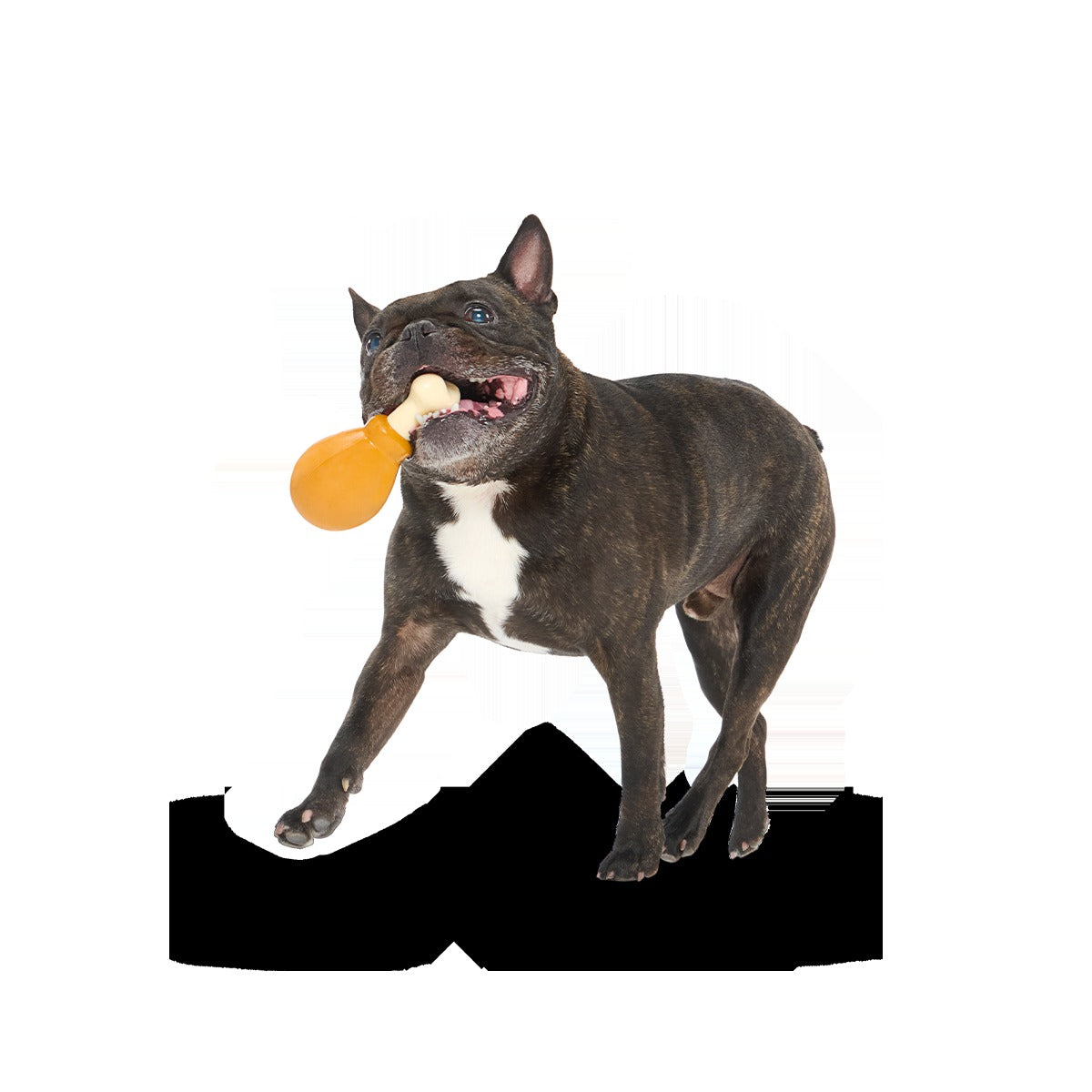 Turkey Day Drumstick Super Chewer Durable Gnaw Dog Toy