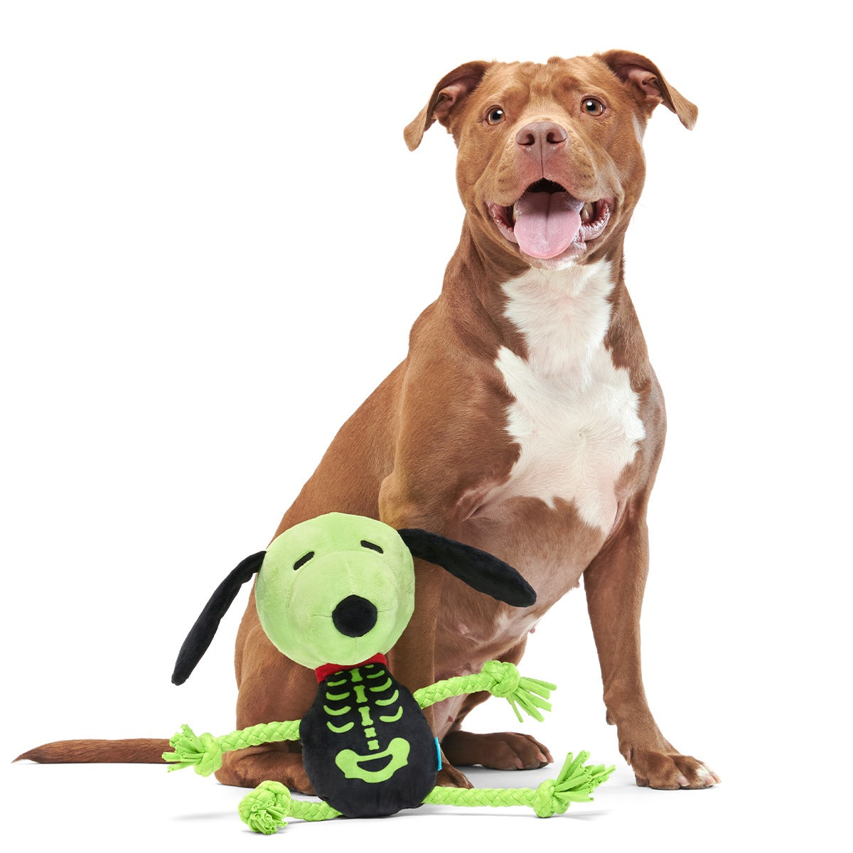 Rattling Bones Beagle Plush Extra-Large + Tug Dog Toy