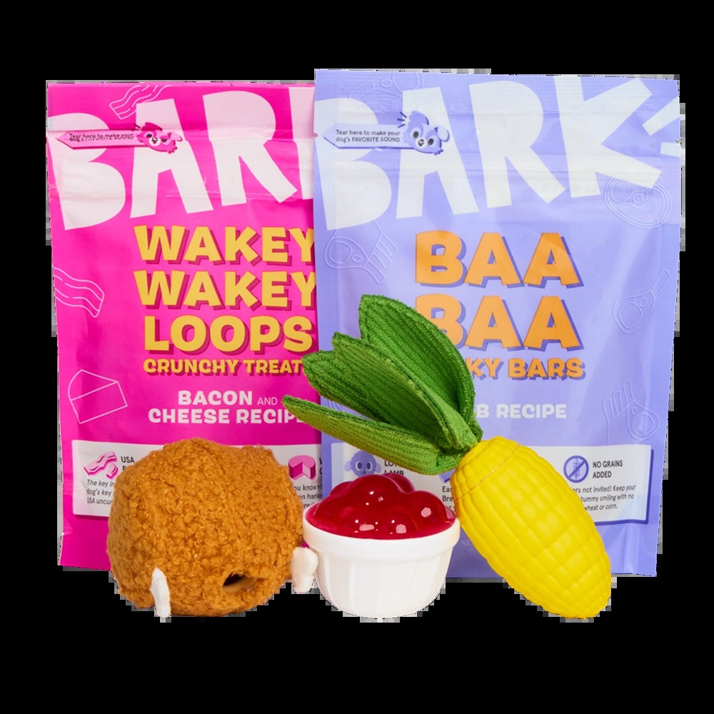 BARK 6 Month Subscription - FREE Extra Toys with Cardboard Box