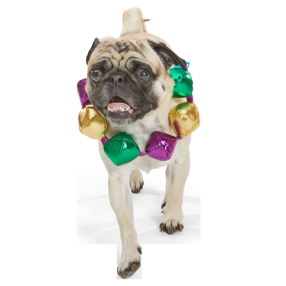 Mardi Growl Necklace Plush Wearable Tug Dog Toy