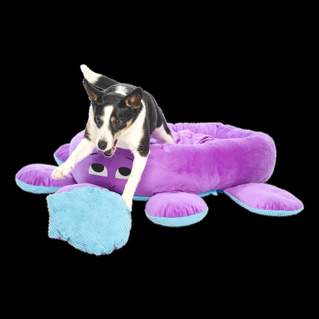 Ollie the Octopus Dog Bed