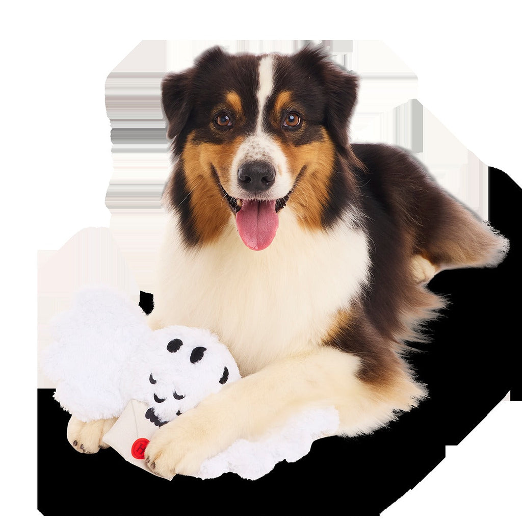 HedwigTM Plush Tug Dog Toy