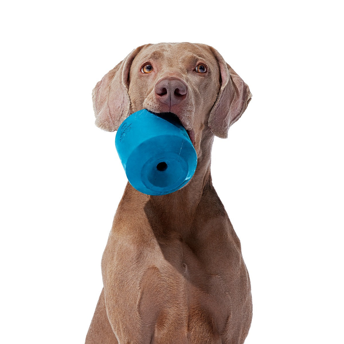 Tank Super Chewer Durable Enrichment Dog Toy