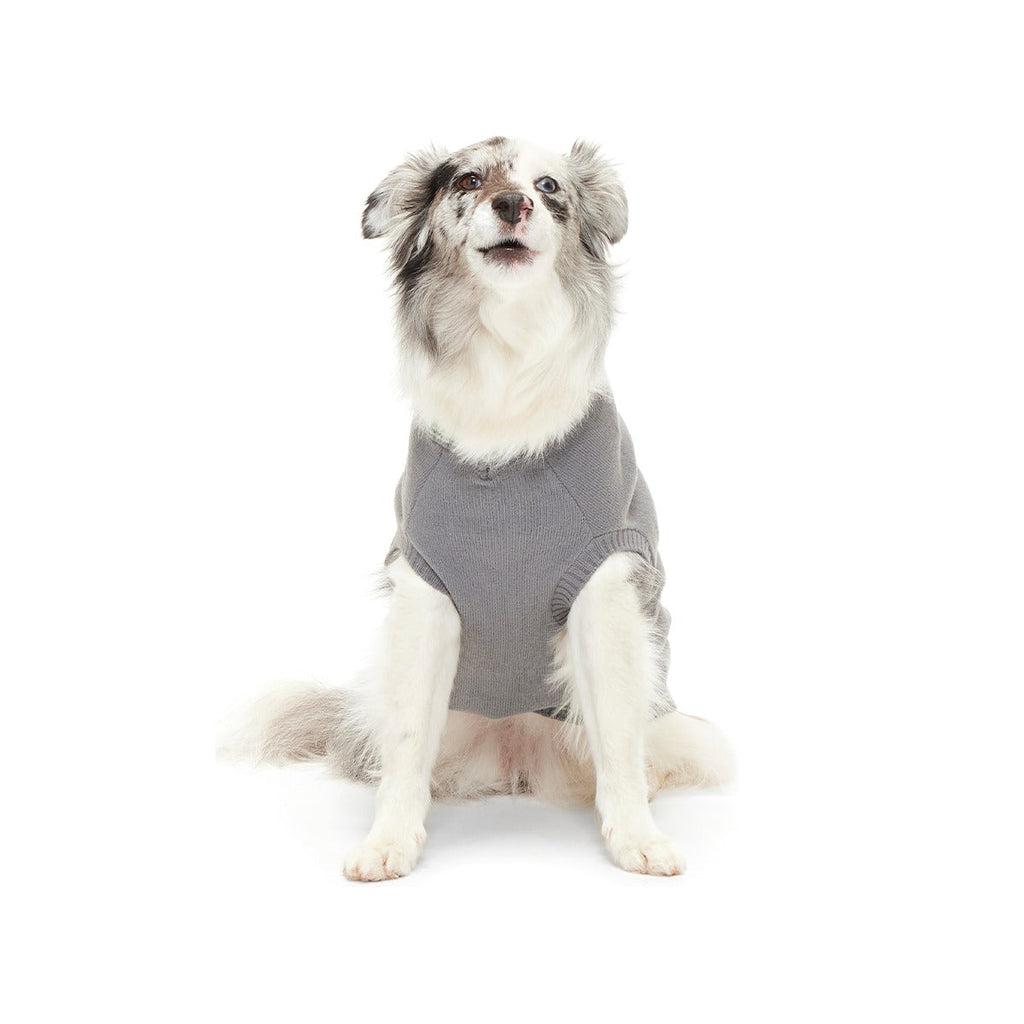 HARRY POTTERTM House Dog Sweater