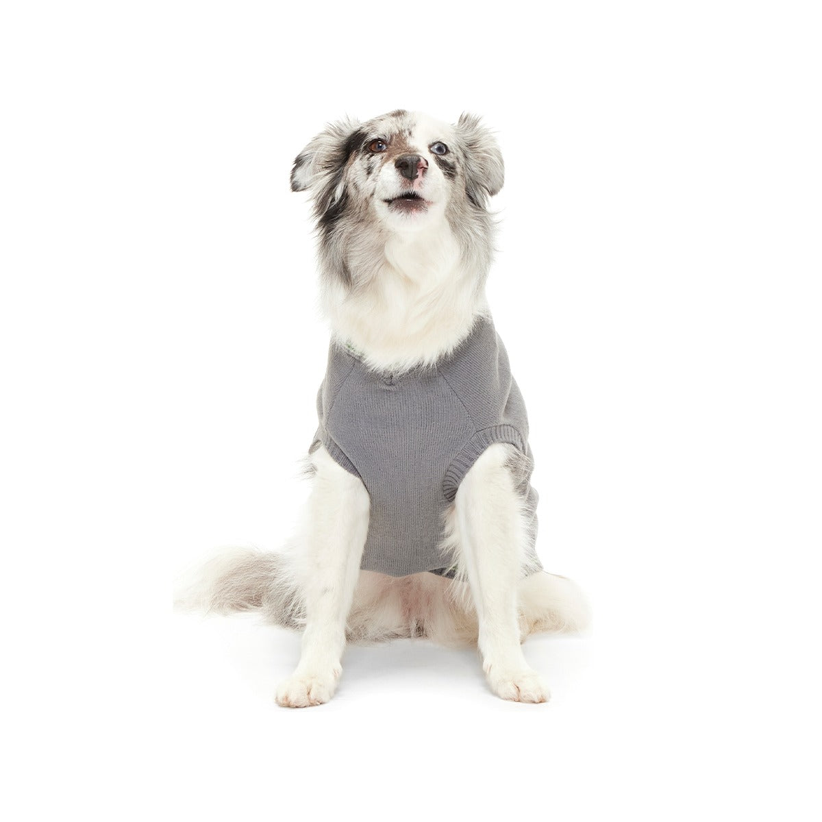 HARRY POTTERTM House Dog Sweater