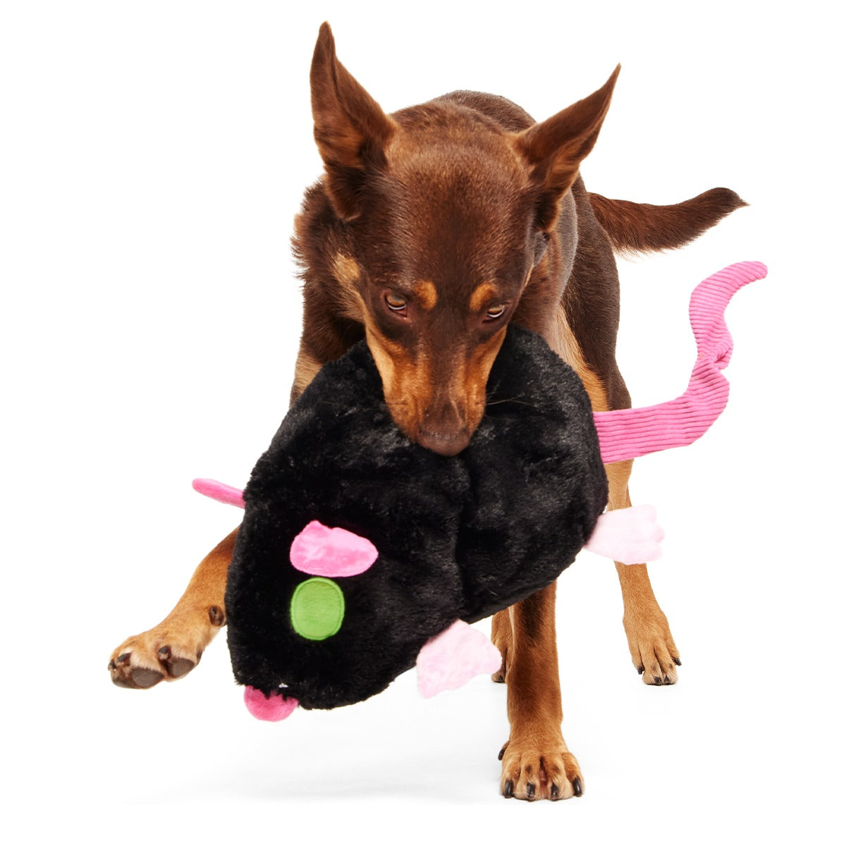 Rat-A-Chewy Plush Extra-Large + 2-in-1 + Tug Dog Toy