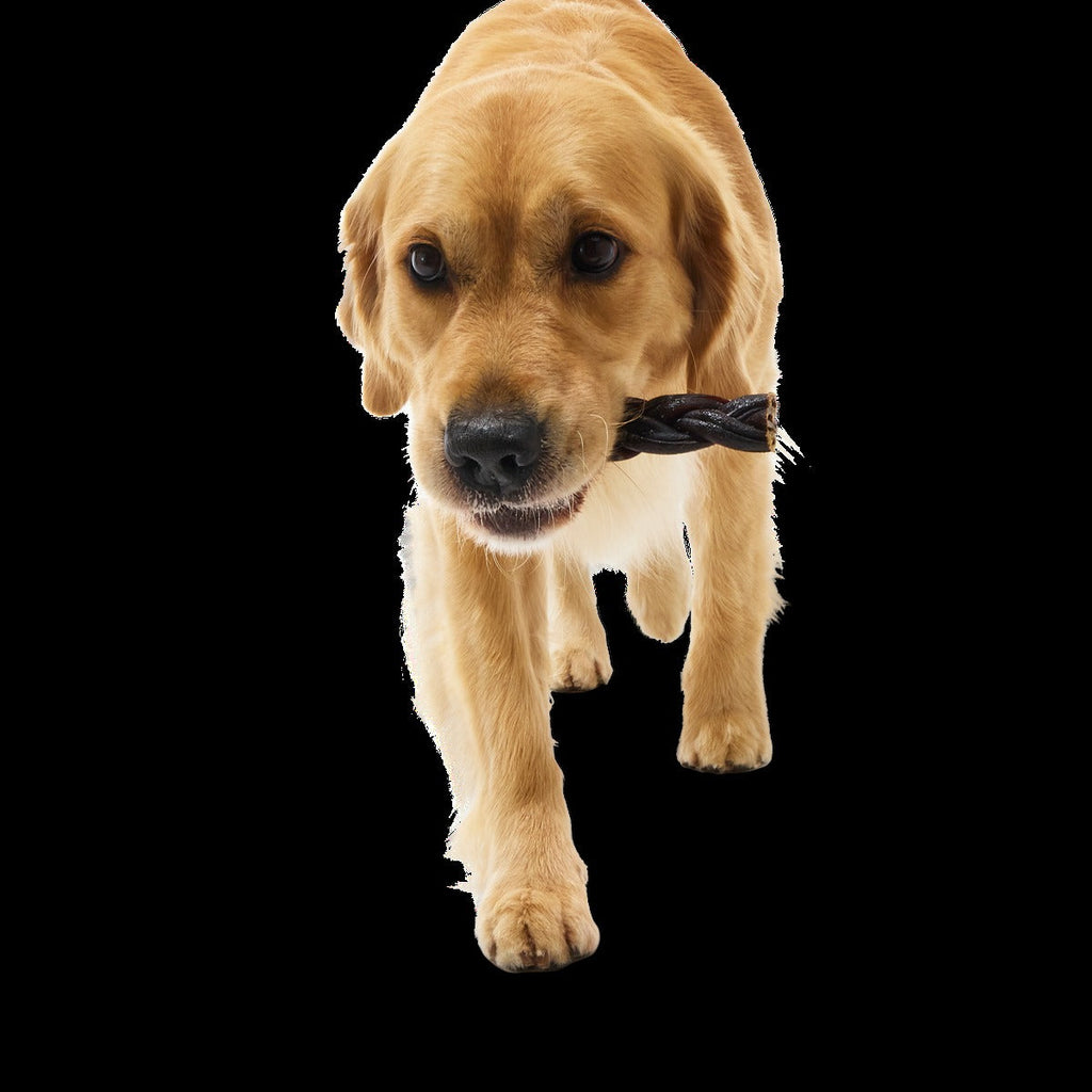 Beef Braided Collagen Dog Chews, 5 Ct