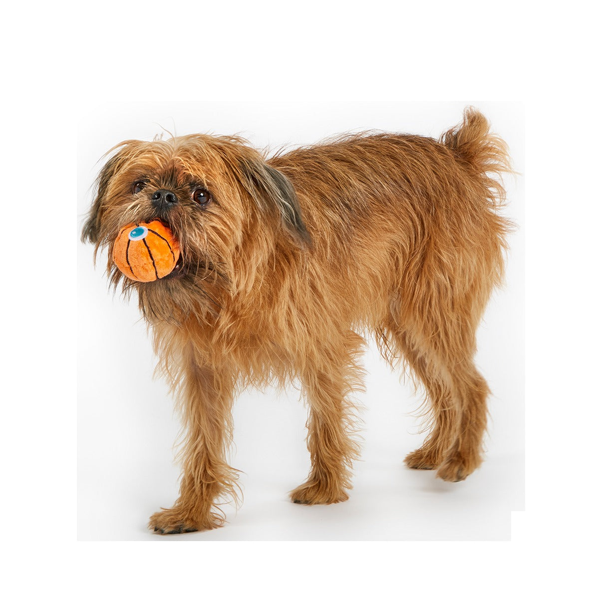 Drool & Dribble Basketball Plush Fetch Dog Toy