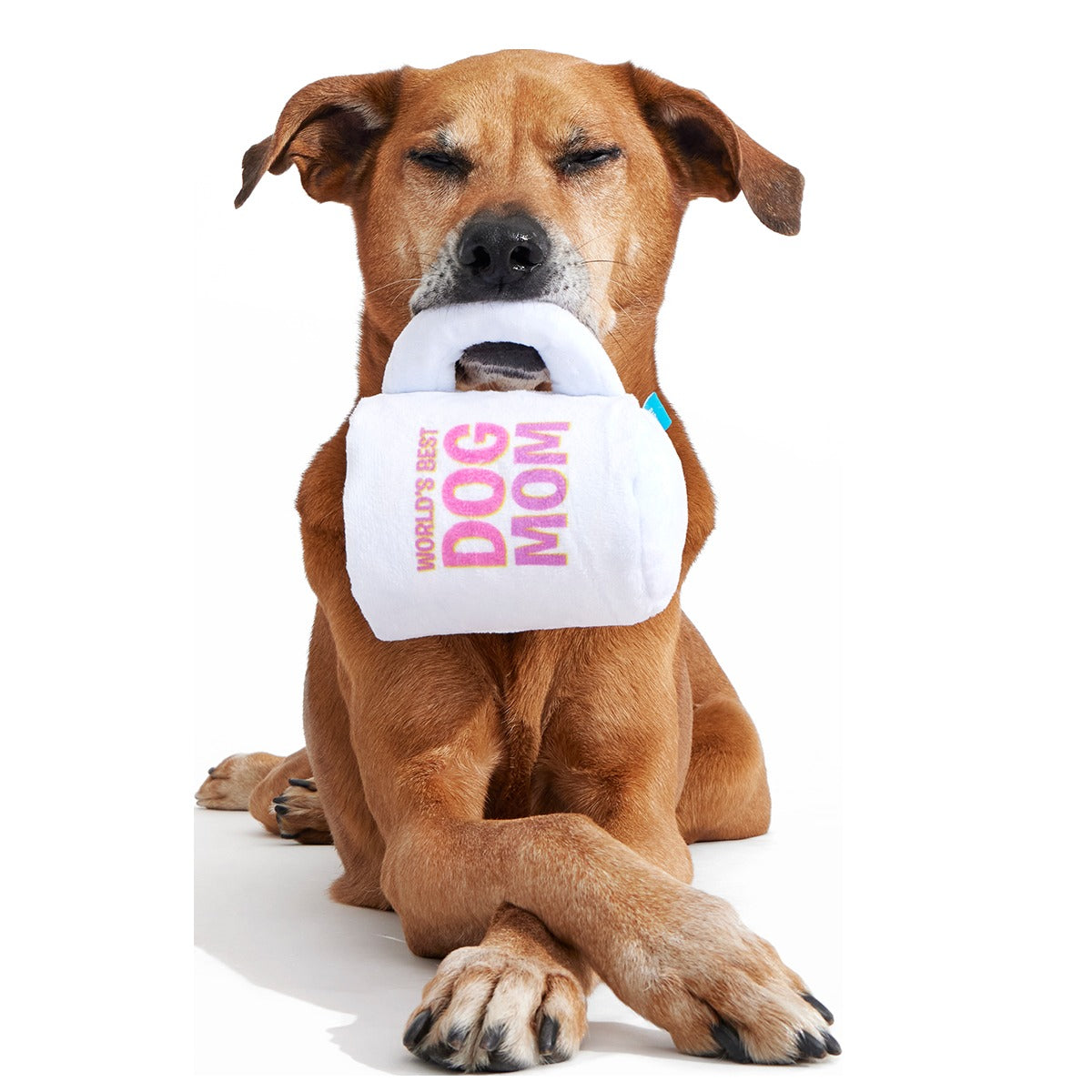 World's Best Dog Mom Mug Plush Tug Dog Toy