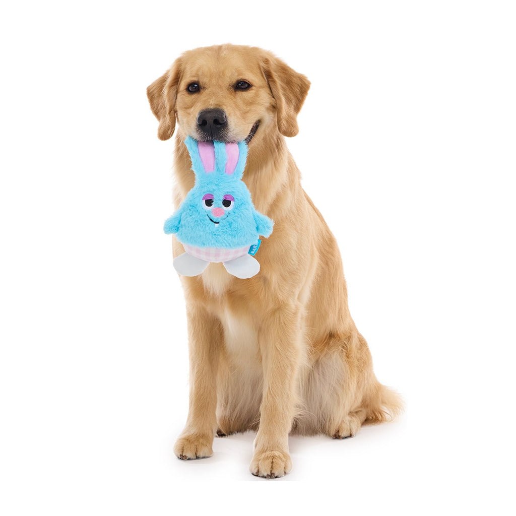 Little Bun Blue Plush Tug Dog Toy