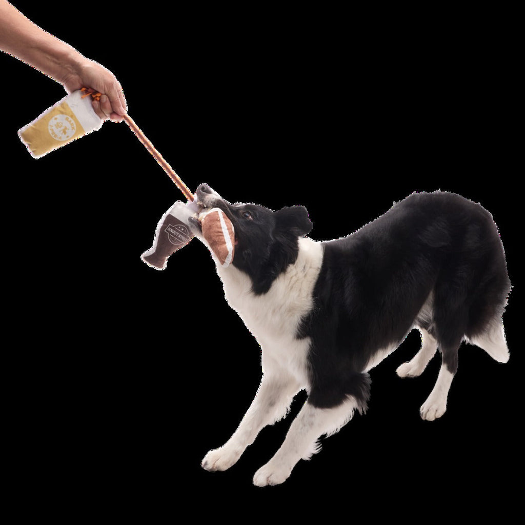 Tug-of-Beers Plush Tug Dog Toy