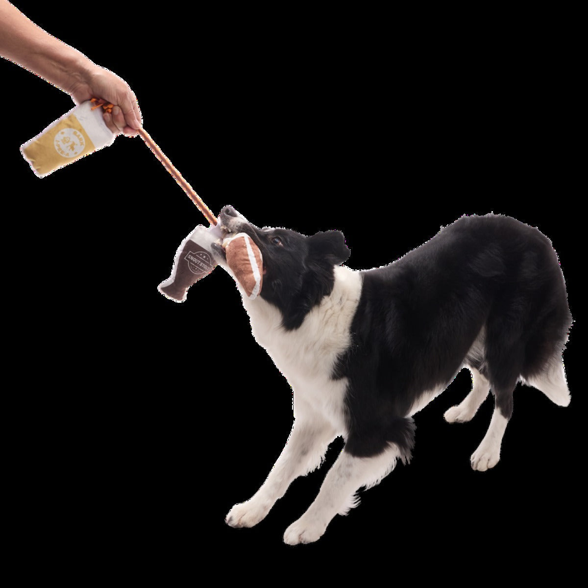 Tug-of-Beers Plush Tug Dog Toy
