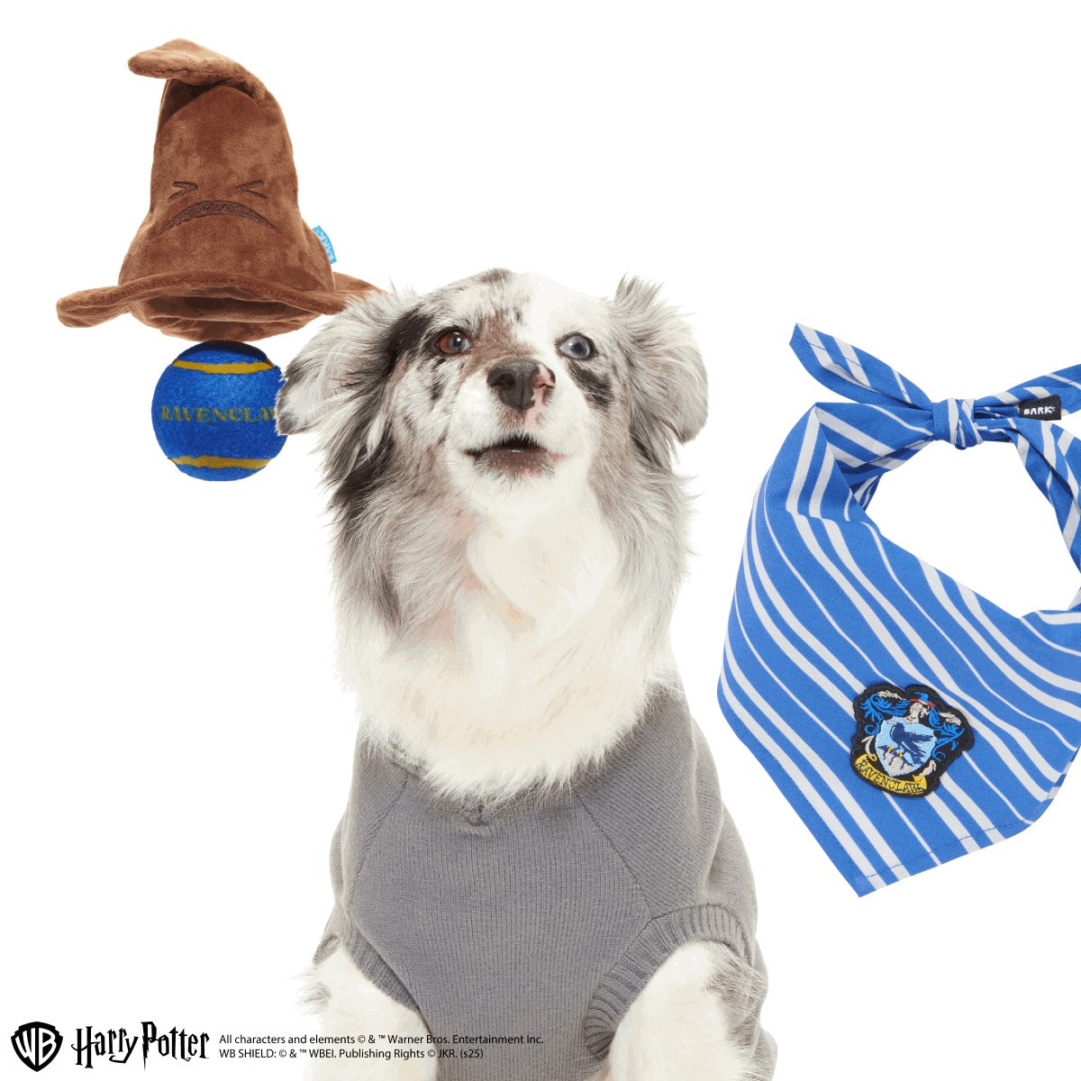 RavenclawTM Bundle