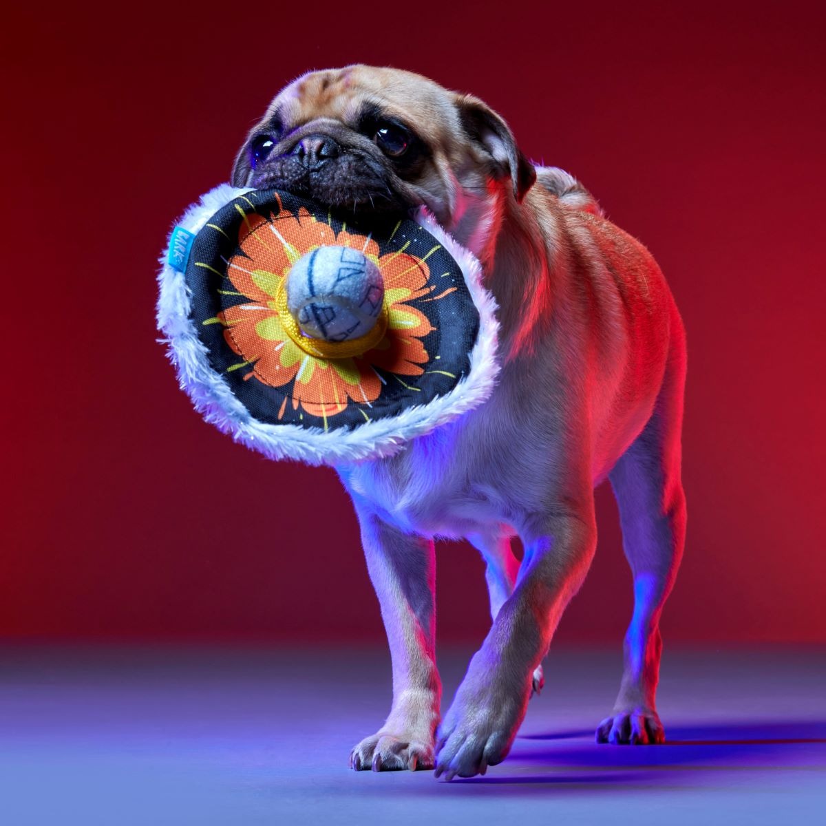 That's No Moon Plush Multi-Part + Tug + Fetch Dog Toy