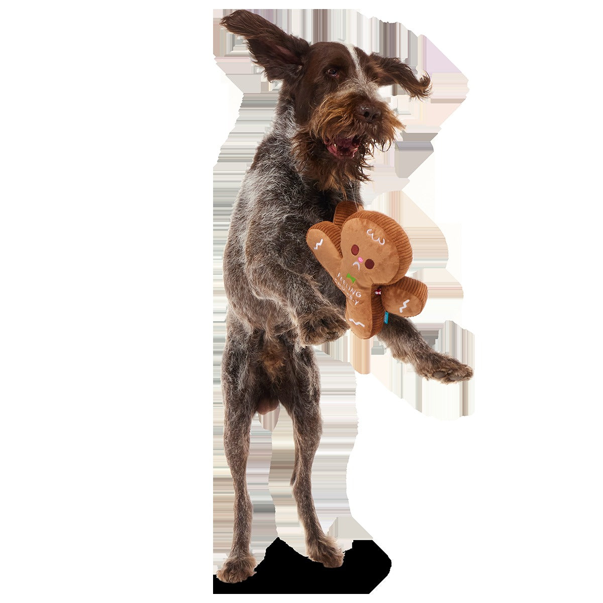 The Crumbum King Plush Extra-Large + Tug Dog Toy