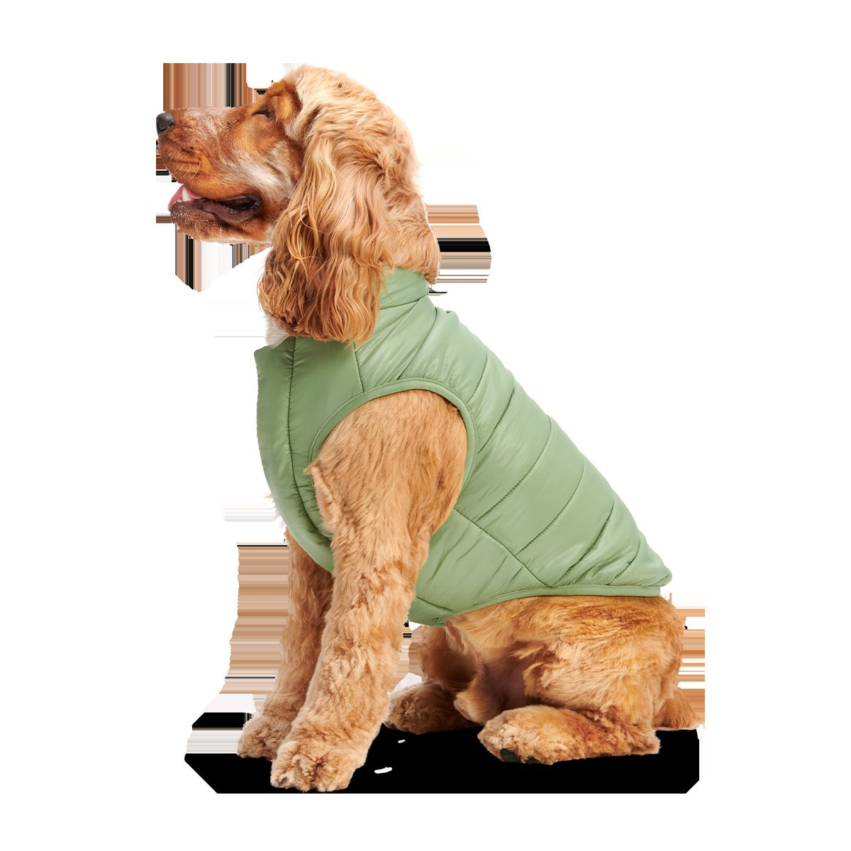 Puffer Dog Vest