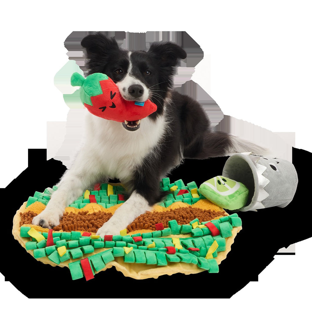 Extra-Snuffed Burrito Plush Extra-Large + Multi-Part + Enrichment Dog Toy