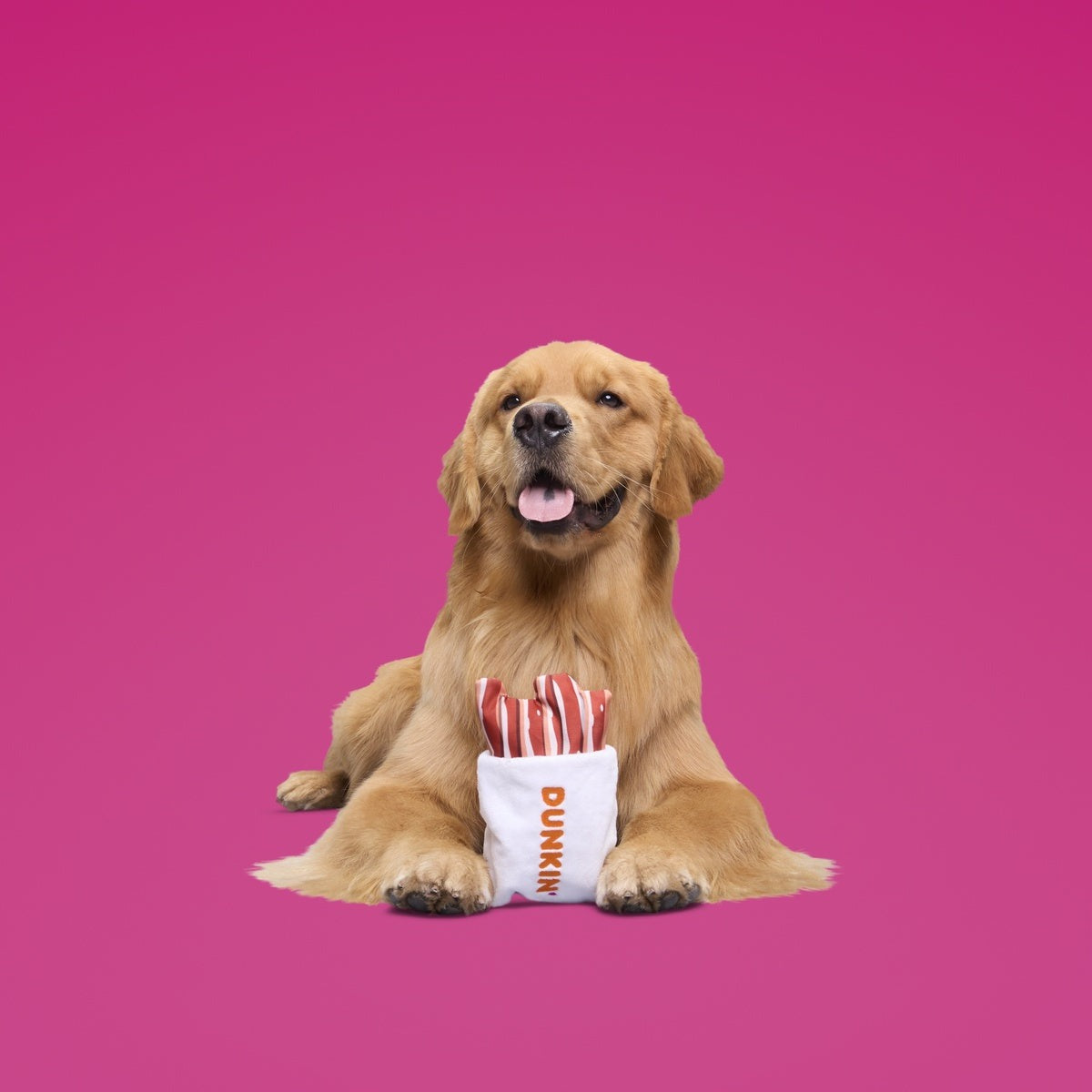 Dunkin'® Snackin' Bacon Plush Multi-Part + Enrichment Dog Toy