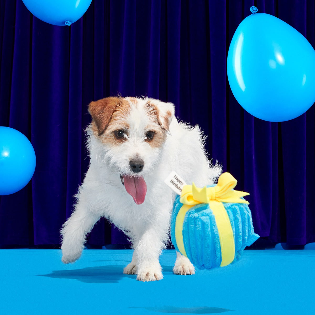 Throw A Party Present Plush 2-in-1 Dog Toy