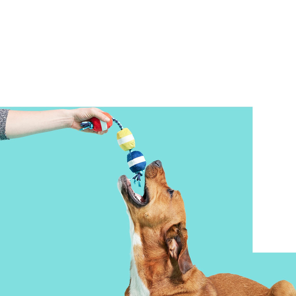 Good Buoys Plush Tug Dog Toy